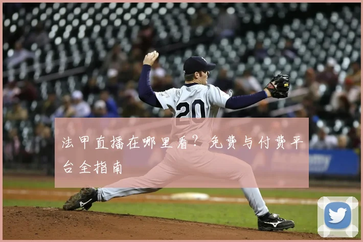 法甲直播在哪里看？免费与付费平台全指南
